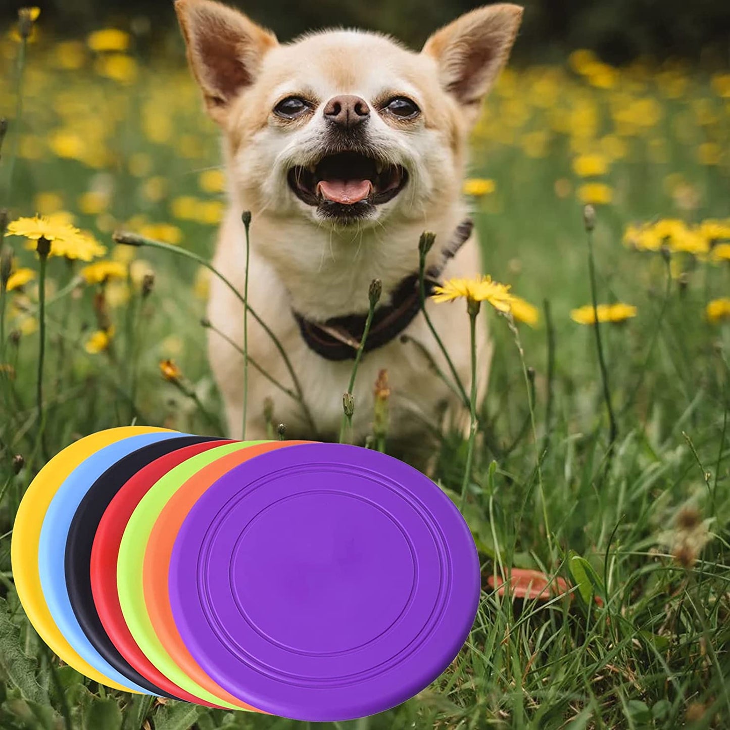 Pepisky TPR Flying Disc for Pets 17.8CM Disc Interactive Pet Toy Dog Toy Chew Toy Training Plaything Exercise Entertainment Tool for Pets Multicolor
