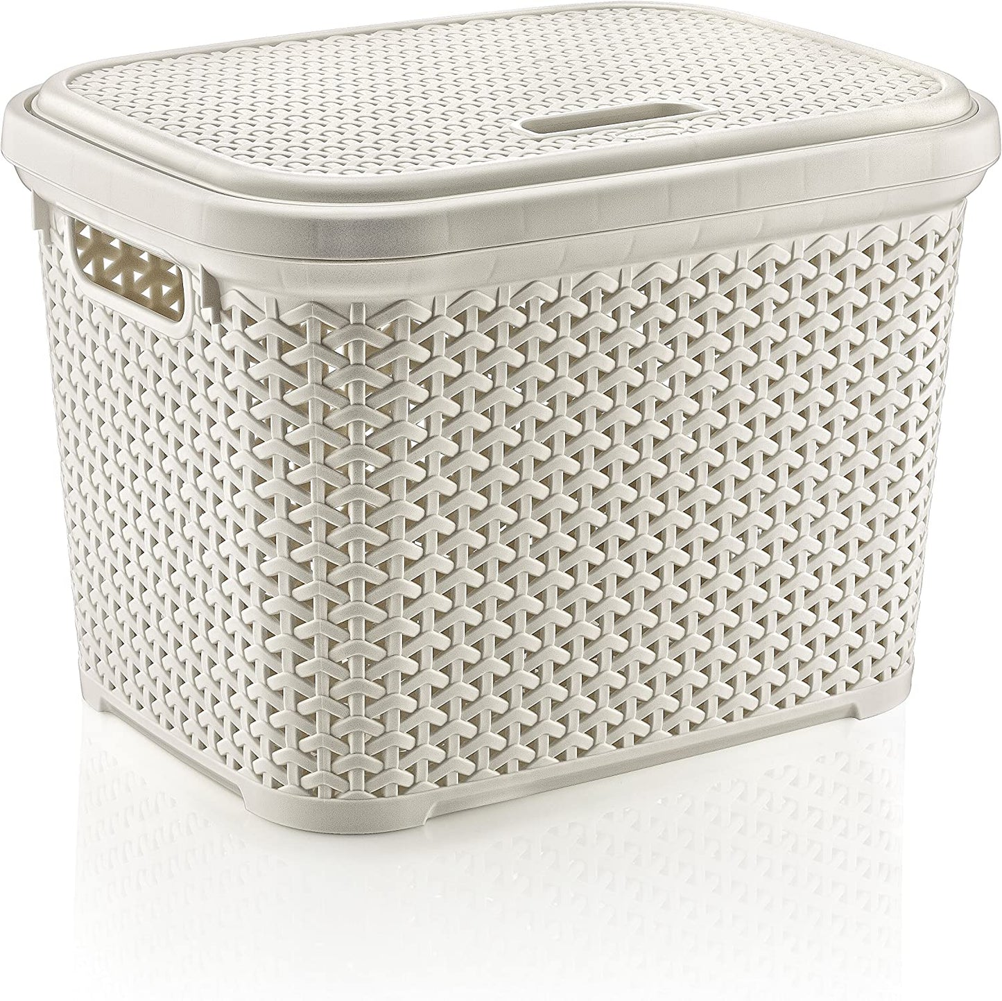 HOBBY LIFE 20 Litre Plastic Rattan Small Storage Box with Lid