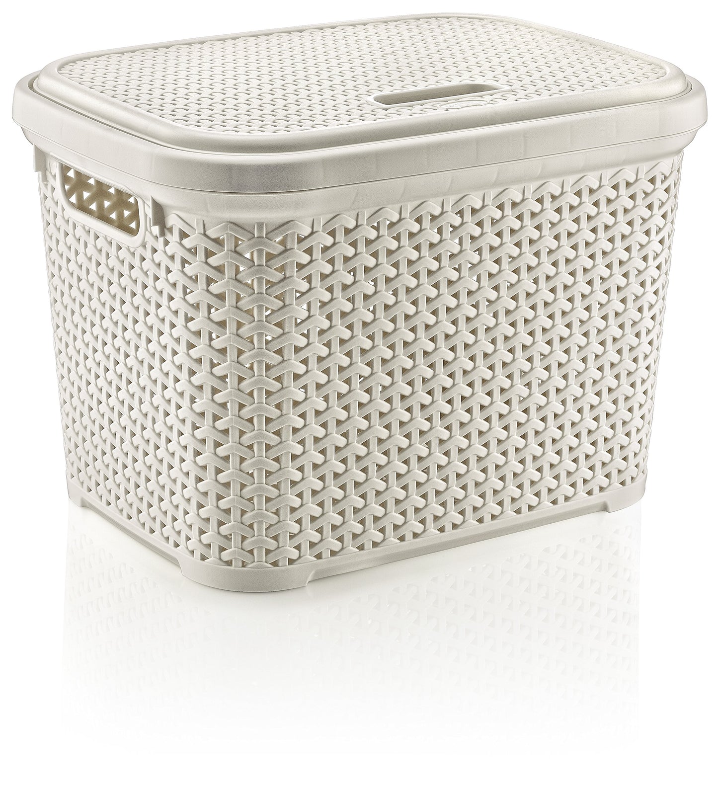 HOBBY LIFE 20 Litre Plastic Rattan Small Storage Box with Lid